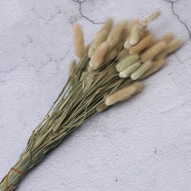 15 шт. декоративные сушеные цветы пампасная трава букет зайцехвостника травы Lagurus