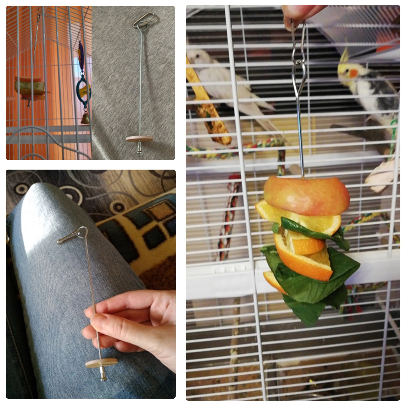 

1Pc New Parrots Birds Food Holder Support Small Animal Stainless Steel Fruit Spear Stick Meat Skewer Bird Feeder 2 Types