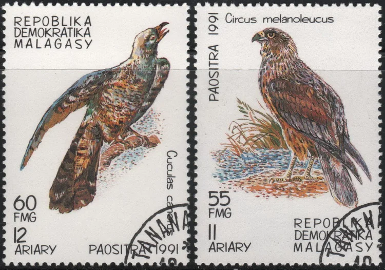 

2 шт./компл. Мадагаскарские почтовые марки 1991 Eagle Bird, почтовые марки для коллекционирования