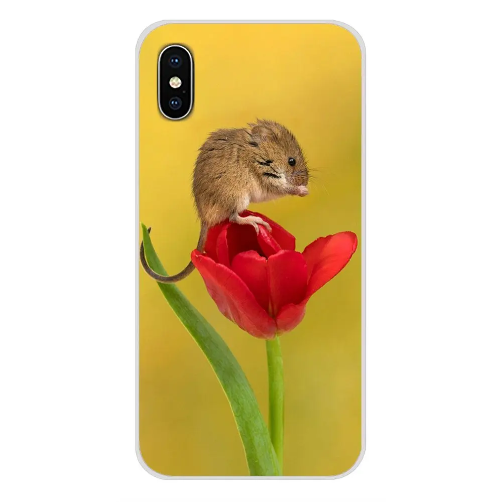 Крысиные очки для Oneplus 3T 5T 6T Nokia 2 3 5 6 8 9 230 3310 1 7 Plus 2017 2018 аксессуары чехлы телефонов |