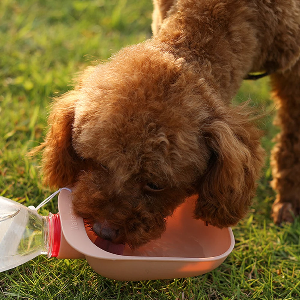 

Dog Travel Water Bottle Portable Pet Dog Water Bottle Drinking Water Feeder for Dog Cat Outdoor Water Bowl Bottle Pet Supplies