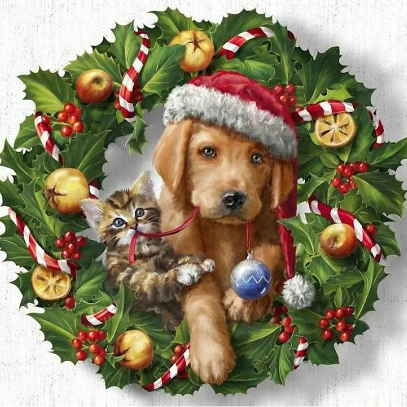 

DIY 5D Christmas Diamond Painting Full Drill with Number Kits Home and Kitchen Wall Decoration Gifts for Adults and Kids