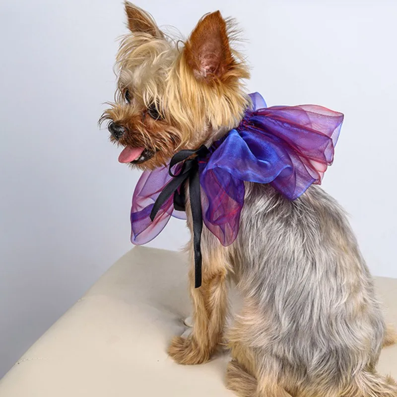 Хэллоуин шарф для домашних животных собак и кошек Рождество одеваются мечта