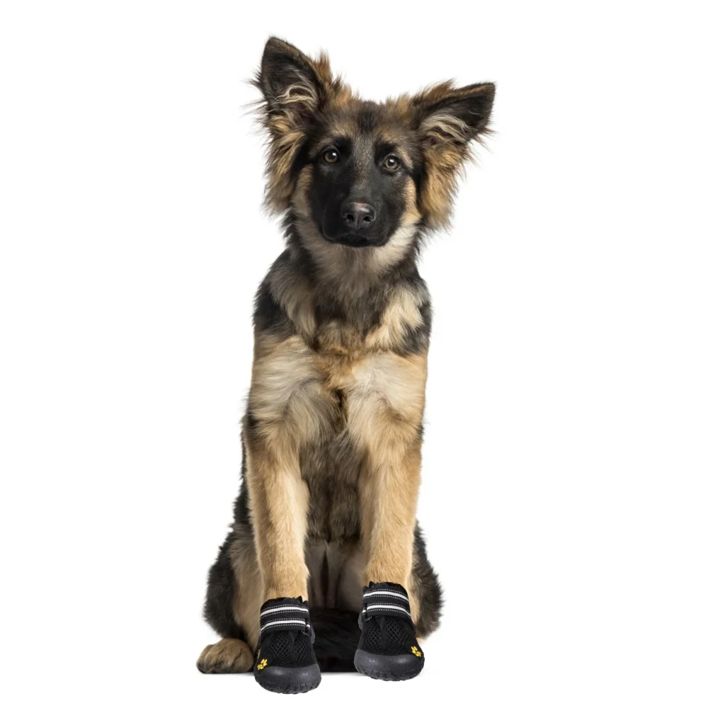 

1 Set Outdoor Black Mesh Fabric Large Dog Shoes Mountaineering Dog Boots