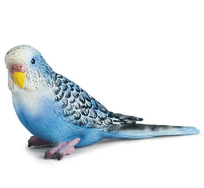 budgerigar Настоящий зоопарк, джунгли, Животные фермы, модель серии 2, петух, коза, утка, Выдра, детские развивающие игрушки для детей, подарок - Цвет: budgerigar