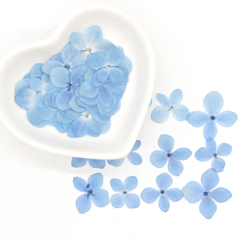 Гортензия оригинальный цвет прессованный цветок для DIY ручной работы материал 1