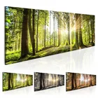 Картина на холсте с натуральным свежим солнечным светом, плакат с зеленым деревом, лесной пейзаж, настенные картины для гостиной, Современное украшение для дома