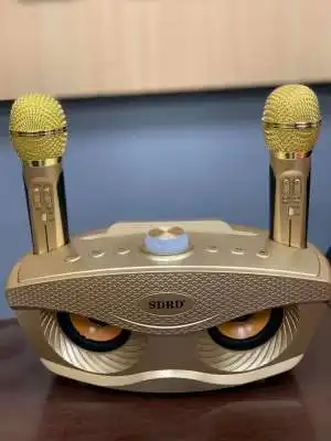 Орлиный глаз дизайн SD 306 Bluetooth караоке динамик с двумя беспроводными микрофоном стерео сабвуфер 3D стерео объемный звук
