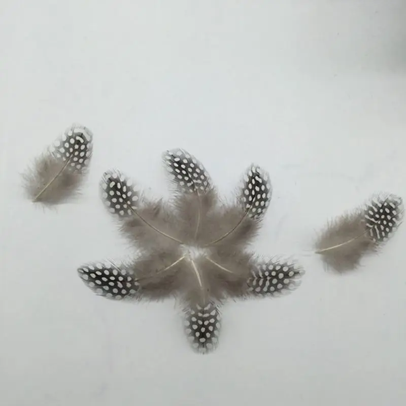 50 шт перо аппликация в виде петуха швейный Декор одежда шляпа DIY Ювелирные
