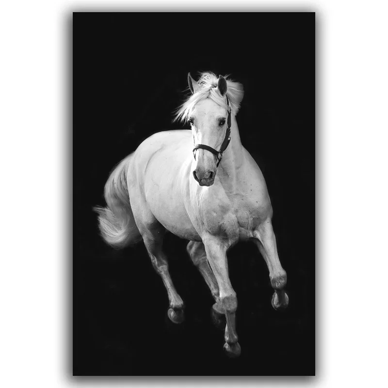 Гостиная на холсте бескаркасные Черный и белый цвета животных картина для