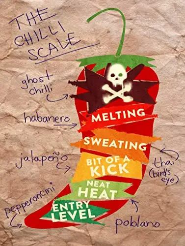 

The Chilli Scale Wall Poster Tin Sign Vintage BBQ Restaurant Dinner Room Cafe Shop Decor