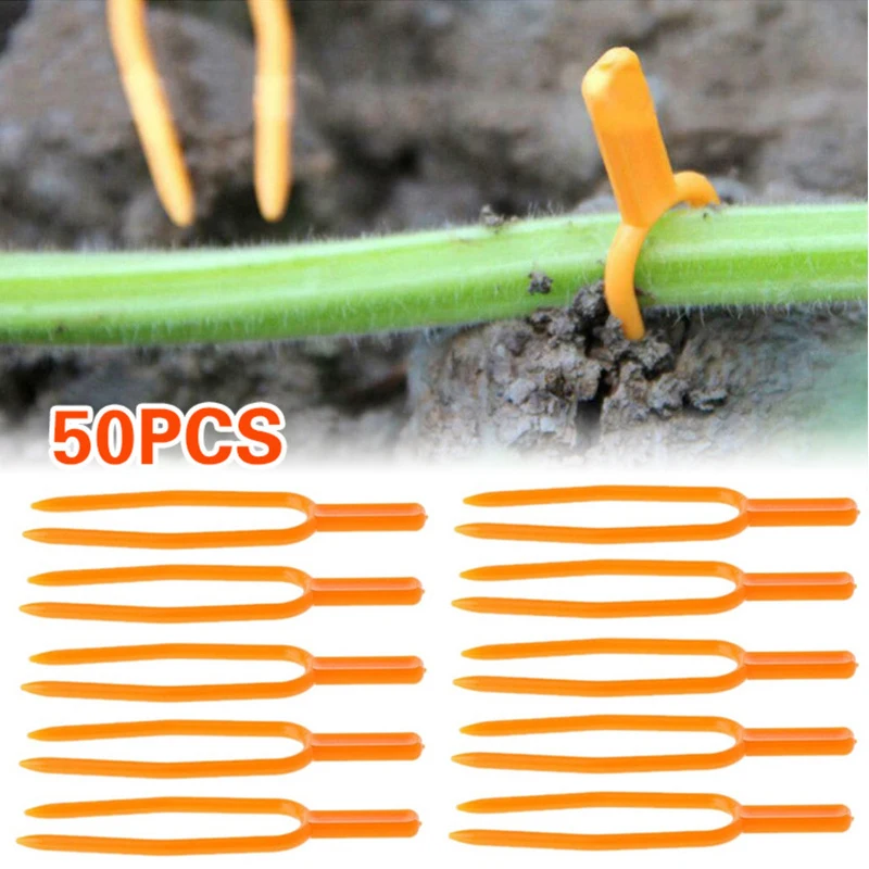 

PP Stolon Clamp Watermelon Planting Fork Gardening Supplies Plant Clamp 50PCS Convenient Plant Vine Press Useful Tool Durable