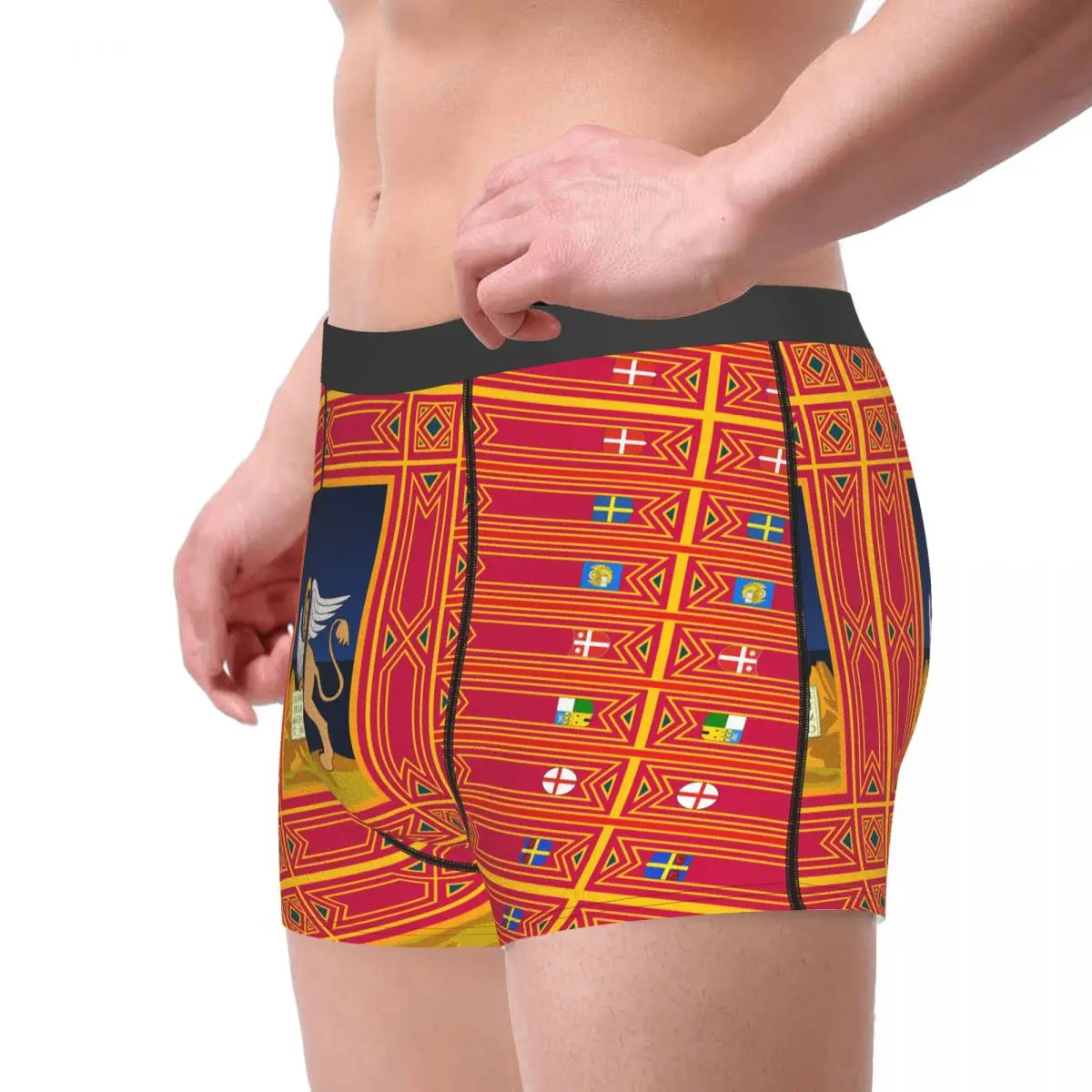 Flag Of Veneto Men's Boxer Briefs regions of Italy Humor Graphic elastic pants for men