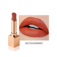 stagenius matte lipstick moisuturizer high pigment lipstick makeup sexy beauty lips for girl cosmetic