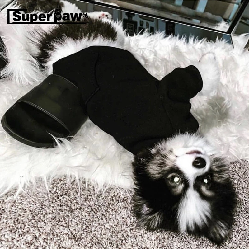 Жилет для собак корги шнауцер французский бульдог мопс одежда домашних животных