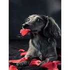 100% Полный 5D Diy Daimond картина крестиком 