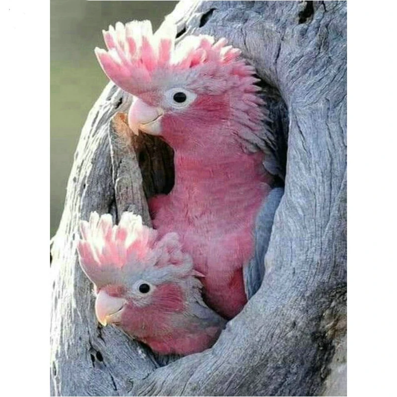 Стразы 5d алмазная картина Розовый попугай полная Алмазная мозаика Дерево