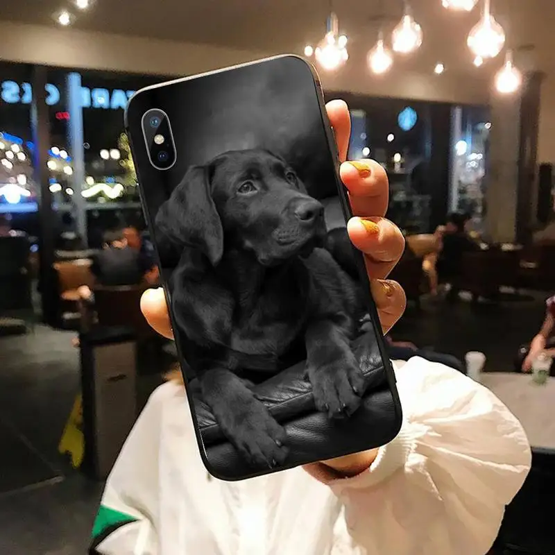 

Sad Labrador Dog cute animal high quality Phone Case shell for iPhone 11 12 pro XS MAX 8 7 6 6S Plus X 5S SE 2020 XR