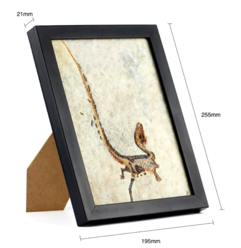 Оригинальная модель динозавра (синозавроптерикс Прима) ископаемая копия