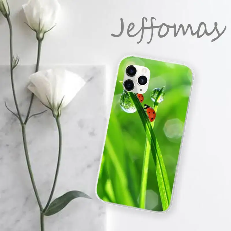 

four leaf ladybug daisy Phone Case Transparent for iPhone 11 12 mini pro XS MAX 8 7 6 6S Plus X 5S SE 2020 XR