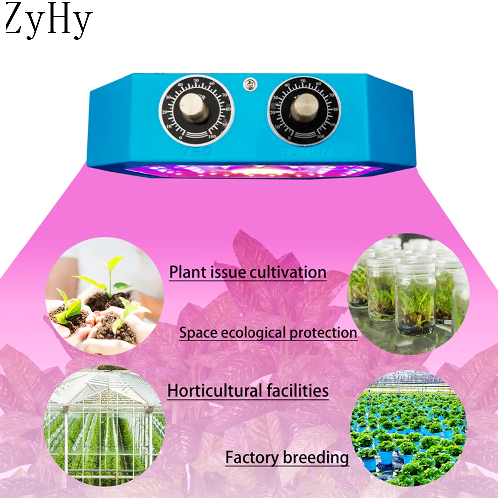 COB LED Grow Lights For Indoor Plants 1000W Full Spectrum Dual-Chip Plant Growing Lamps Dimmable Veg Bloom Switch For Grow Tent