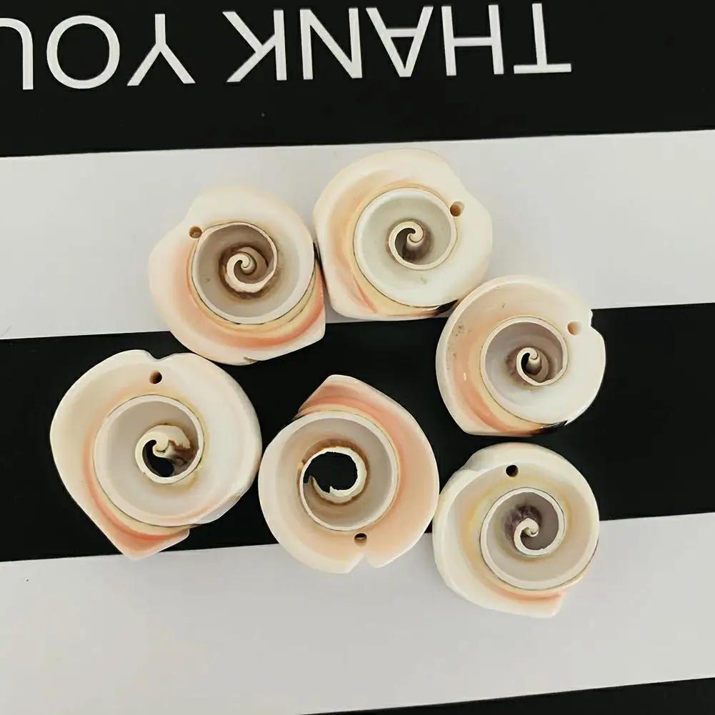 

2PC Natural Shell Conch Roll Perforated Sliced Head Fish Tank Home Decor Handmade Raw Materials DIY Necklace Jewelry Accessories