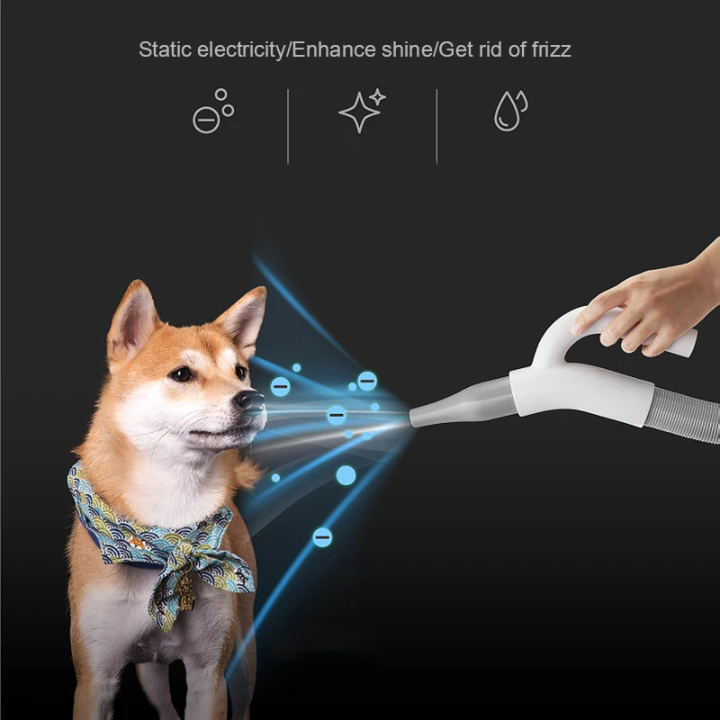 Secador de pelo para mascotas, dispositivo de secado r&aacute;pido de gran volumen de aire, LED, Control de temperatura, soplado r&aacute;pido para perros peque&ntilde;os, medianos y grandes, 1700W-5