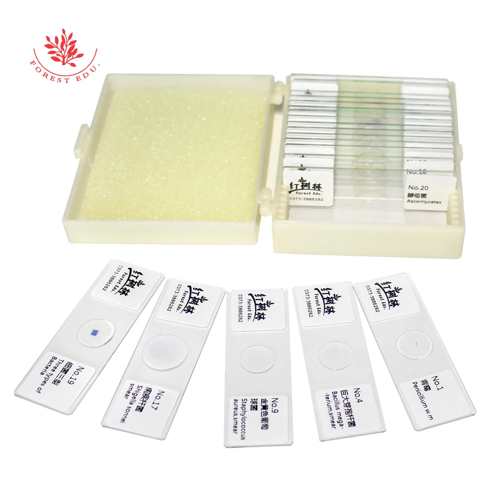 Микроскоп слайды бактерий/смешанные подготовленные 20 шт./компл. | Канцтовары для