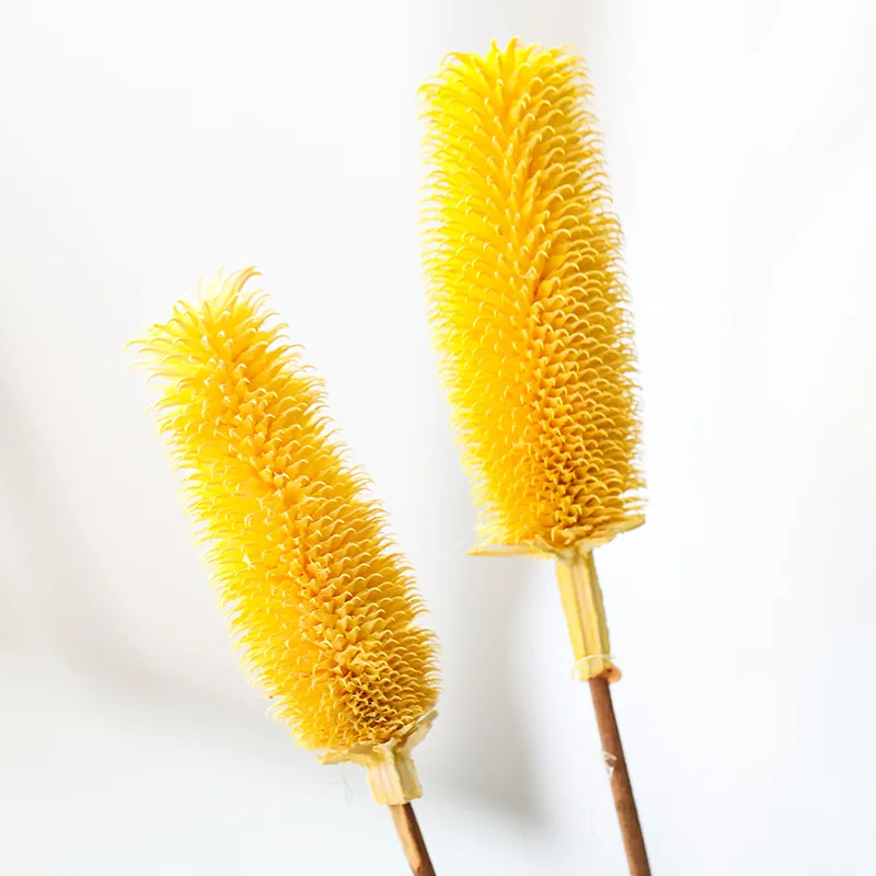 

2pcs Pickled Fruit Emulation Decoration Ground Floral Garden Dry Flower Wholesale Factory Direct Photo Props Fleurs Sches