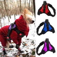 xs xl pet supplies adjustable reflective nylon pet dog harness vest harnesses free delivery car safety rope for dog walking