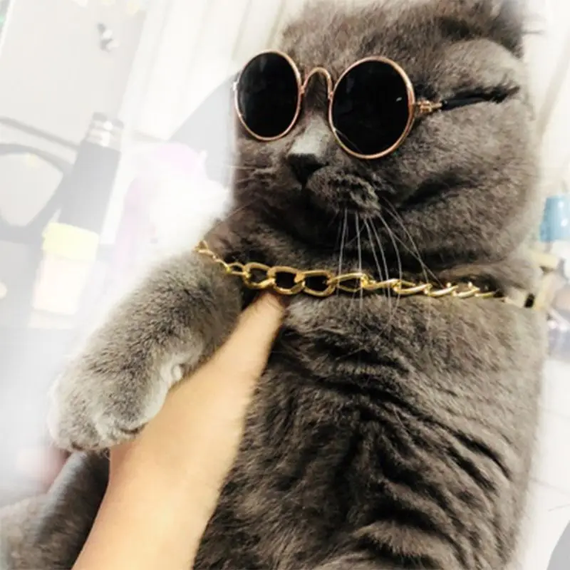 

4 Pcs Cool Pet Dog Cat Costume Fashion Sunglasses Chain Collar Straw Hat Tie Set Dropshipping
