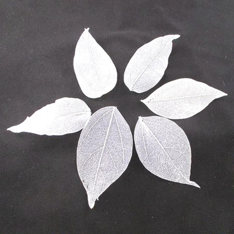 

Натуральные листья ротанга для декора