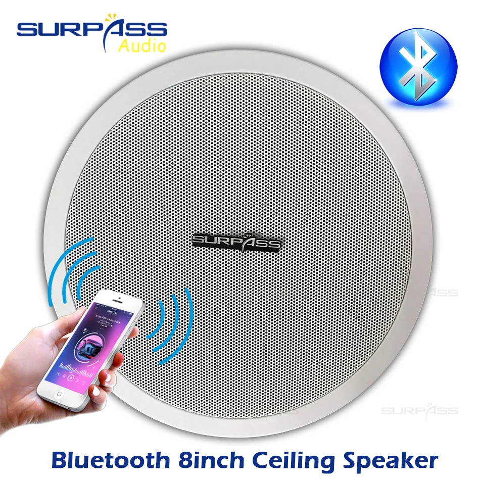 8-дюймовый PA системный динамик высокоэффективный Высокоточный цифровой