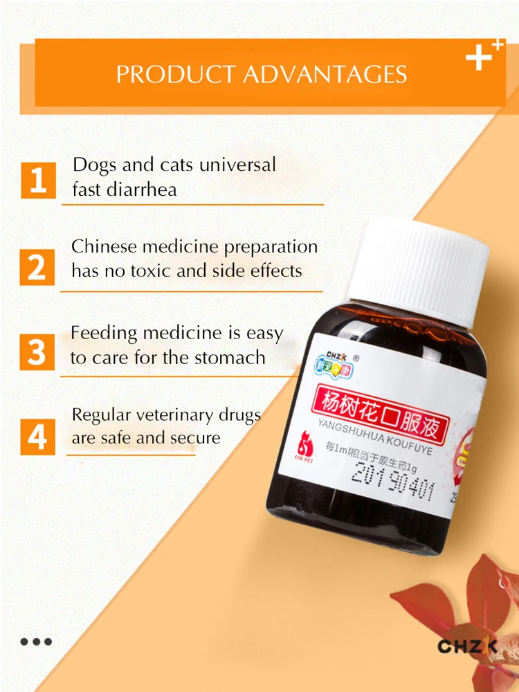CHZKDog диарея кошка домашнее животное энтерит медицина рвота бактерии инфекция