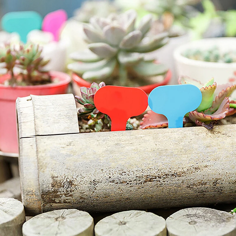 

100pcs Garden Labels Plant Classification Sorting Sign Tag Ticket Plastic Writing Plate Board Plug In Card Colorful