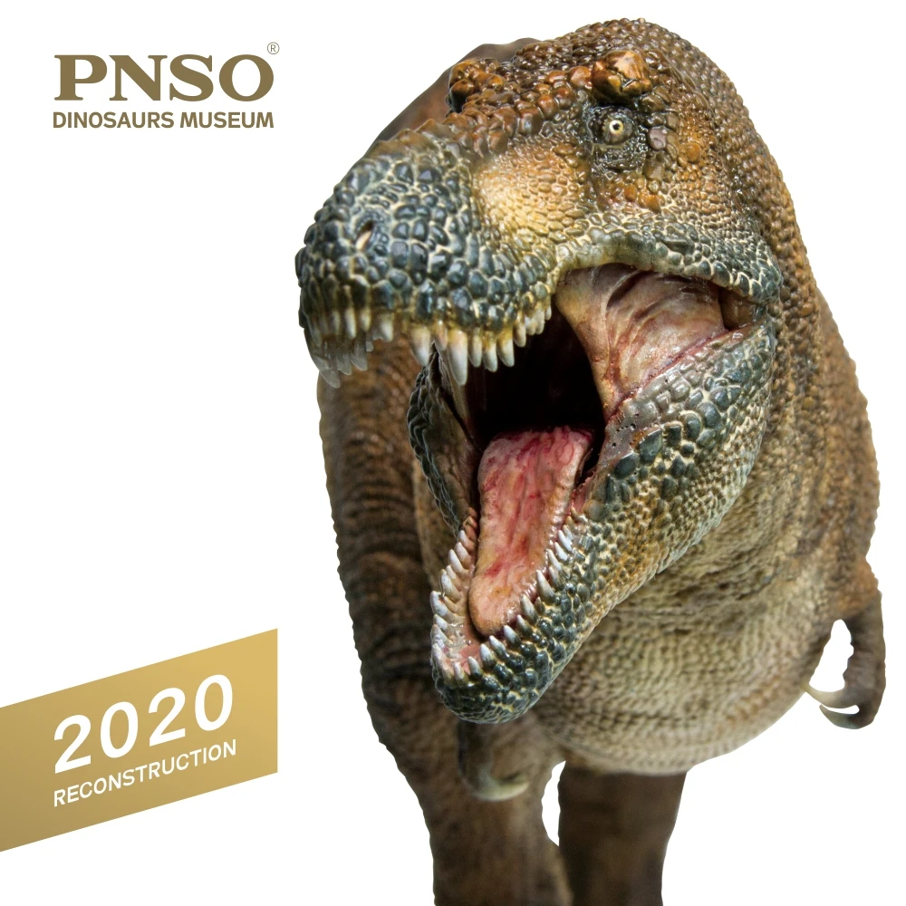 

1 шт. PNSO музеи динозавров: Новый Вильсон тираннозавр рекс 1:35 научные художественные модели PNSO Аниме Фигурки игрушки