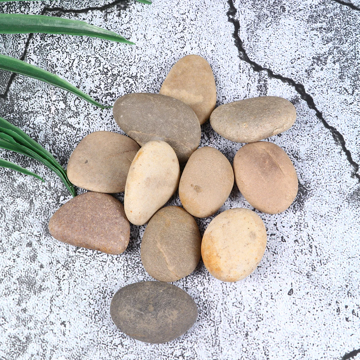 

1 Набор/10 шт., Детские камни для рисования, с кронштейном