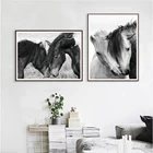 Черно-белая дикая лошадь, художественные фотографии, живопись на холсте, дикая местность, настенные картины, скандинавские плакаты, декор для гостиной