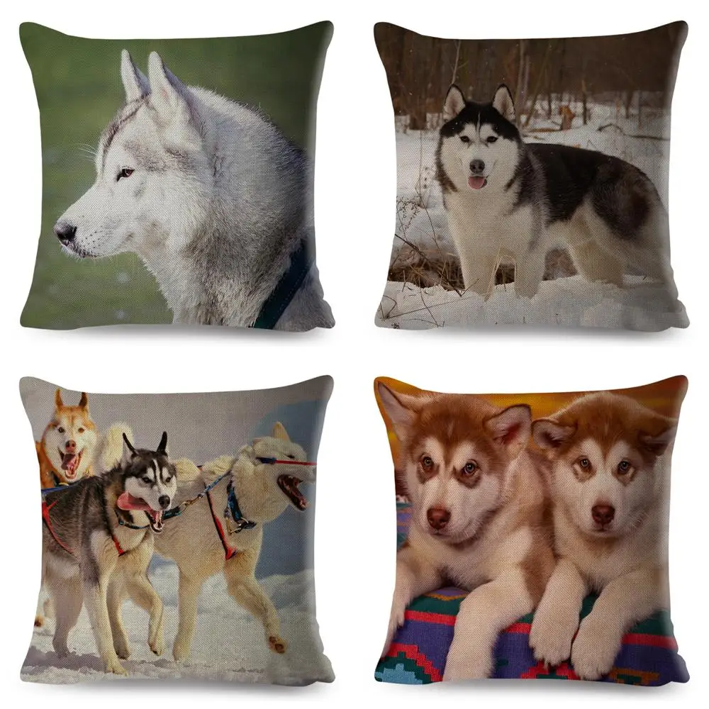

Siberian Husky Cushion Cover for Sofa Home Chidren Room Decor Cute Pet Animal Dog Pillowcase 45*45cm Polyester Pillow Case