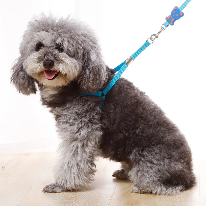 Нейлоновый Поводок для собак и кошек Shih Tzu|Наборы| |