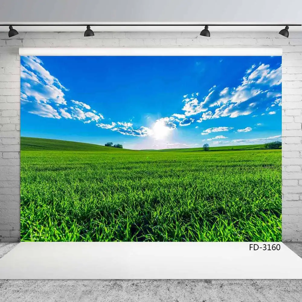 

Green Grassland Prairie Grass Blue Sky Sun Cloud View Photocall Background Child Photography Photo Studio Props Scenery Backdrop