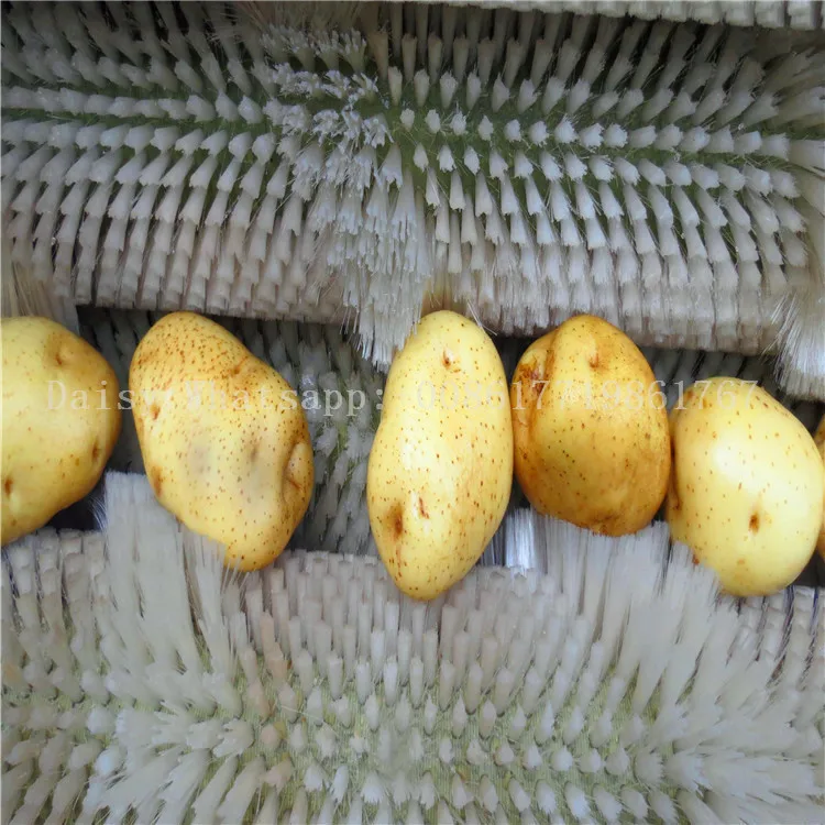 Коммерческая Машина для мытья и пилинга корней овощей фруктов сладкого