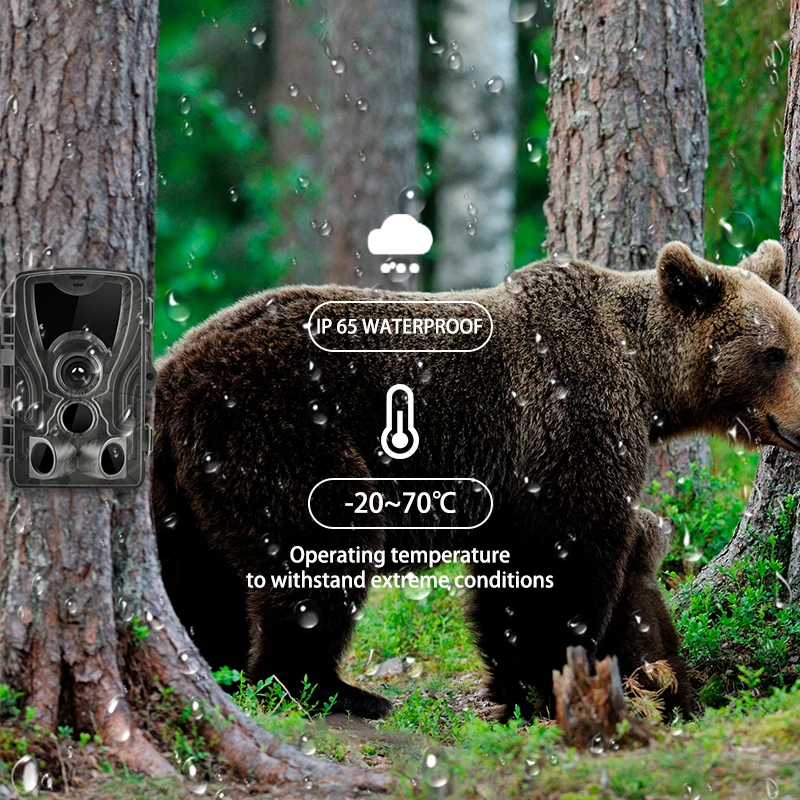 HC-801G 3g 801A 801 LTE охотничья камера 16MP Trail камера SMS/MMS/SMTP IP66 фото ловушки 0,3 s время триггера 940nm светодиоды Дикая камера