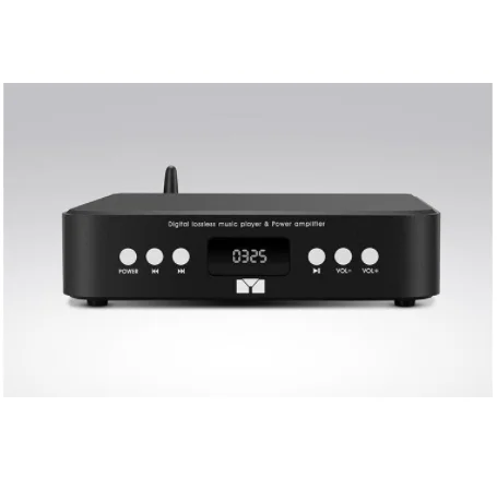 2019 HIFI 50 Вт * 2 Пульт дистанционного управления беспроводной Bluetooth 5 0 усилитель