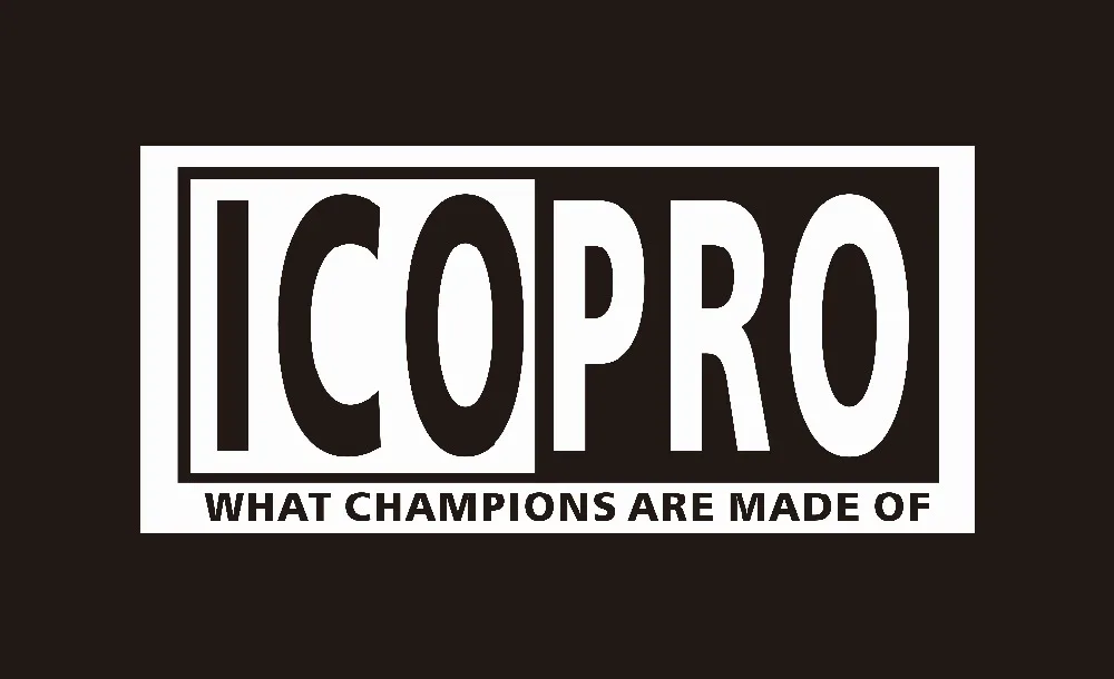 

90*150cm ico pro what champions are made of Flag