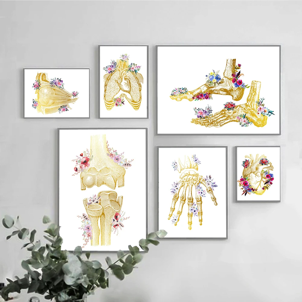 

Gold Human Anatomy Artwork Medical Wall Picture Skeleton Organ Muscle System Vintage Poster Canvas Print Body Education Painting