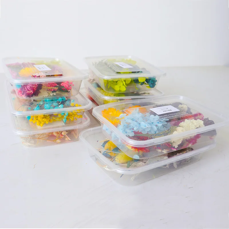 Случайные стили вечный цветок сушенный цветочный материал Сделай Сам Бао цветы