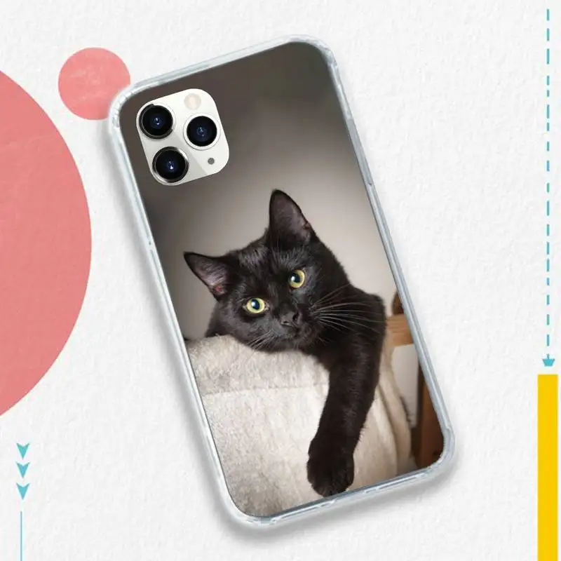 

Staring Eye On Black Cat lovely animal Phone Case for iPhone 11 12 mini pro XS MAX 8 7 6 6S Plus X 5S SE 2020 XR