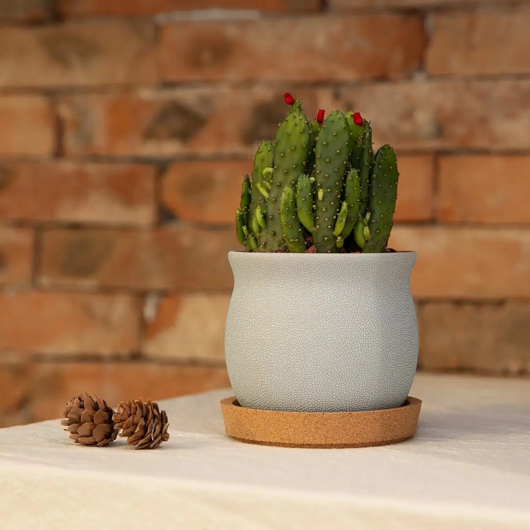 3 Упак. Противоскользящие подставки для напитков Xiaomi из натурального дуба чашка