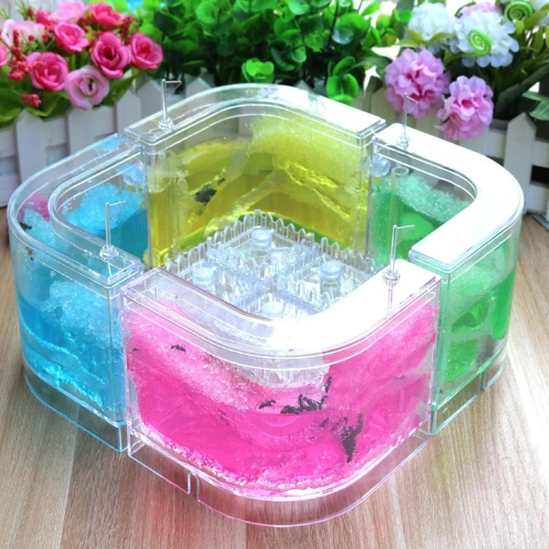 3D Ant Farm Educational Maze Live Feeding System Ants Habitat World Pet Villa Wholesale self contained environment dropshipping | Дом и сад